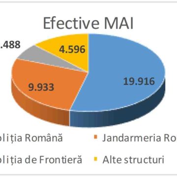 36.933 de cadre MAI au fost mobilizate pentru a asigura condițiile de desfășurare a alegerilor din 10 noiembrie 2019