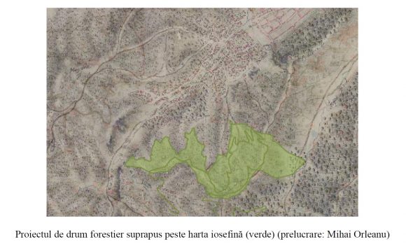 Potecile de pe Dealul Gorița ar putea deveni situri arheologice dacă primăria ar renunța la proiectul de drum forestier