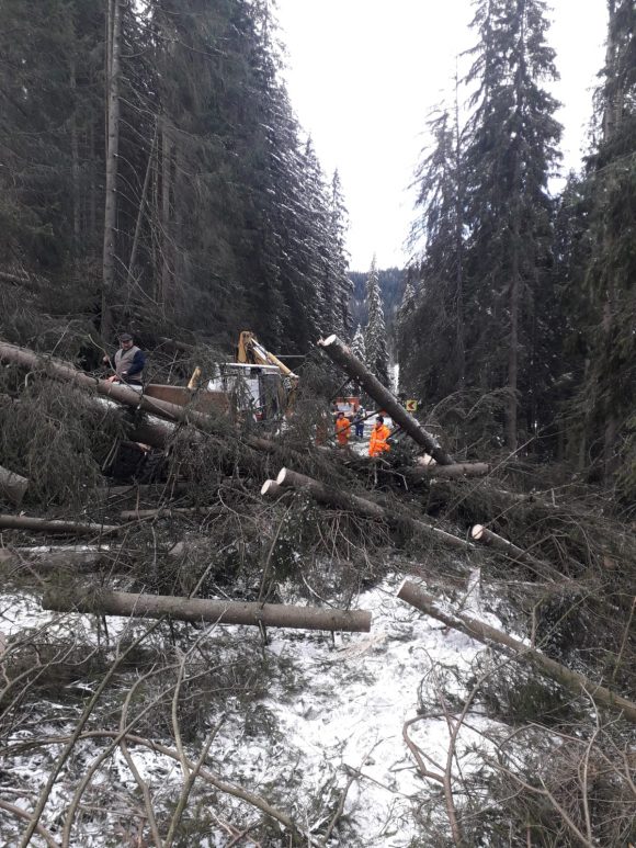 FOTO DN 12C blocat de căderea copacilor pe carosabil în zona Lacul Roșu județul Harghita