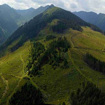 O nouă plângere la Comisia Europeană împotriva României cu privire la distrugerea ariilor naturale protejate