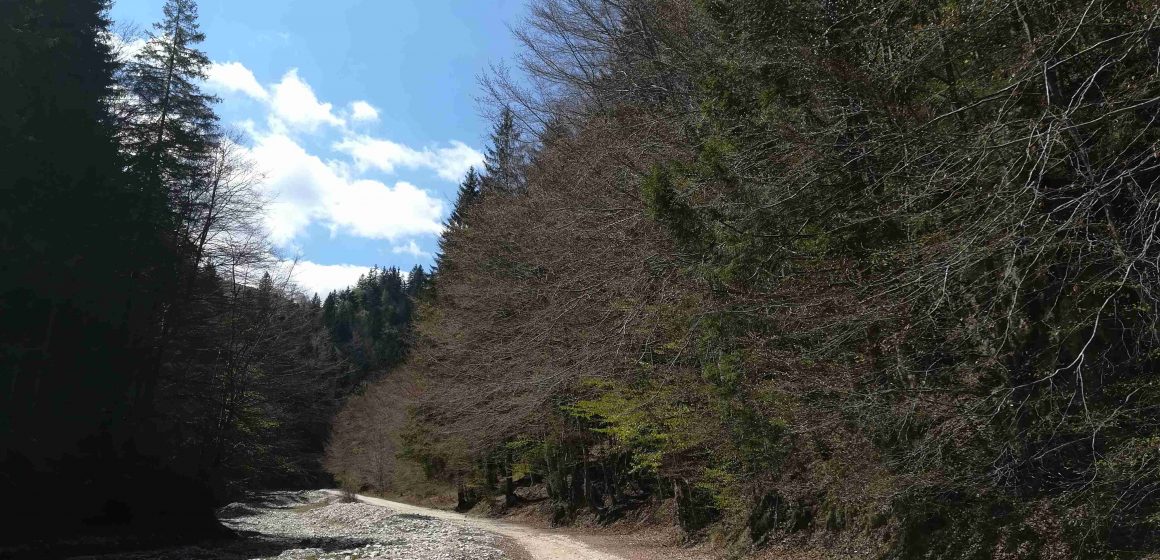 Suprafața de protecție strictă a Parculului Național Piatra Craiului a fost extinsă cu încă 350 de hectare