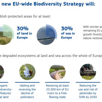 Agent Green | Comisia Europeană a adoptat strategiile pentru biodiversitate și agricolă