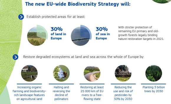 Agent Green | Comisia Europeană a adoptat strategiile pentru biodiversitate și agricolă