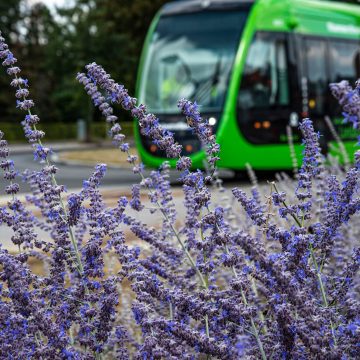 LUND | Încă un oraș se pregătește să intre în noua eră a tramvaiului