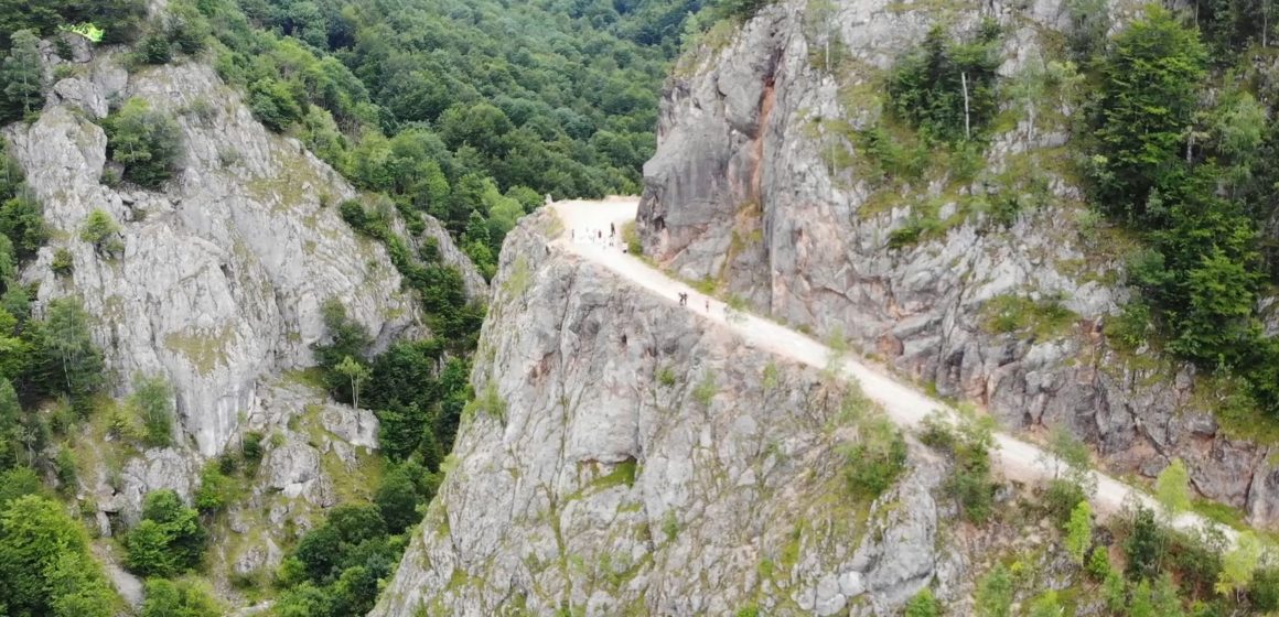 Raportul misiunii UNESCO arată dezastru în pădurile din România aflate în Patrimoniul Mondial