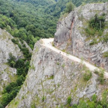 Raportul misiunii UNESCO arată dezastru în pădurile din România aflate în Patrimoniul Mondial