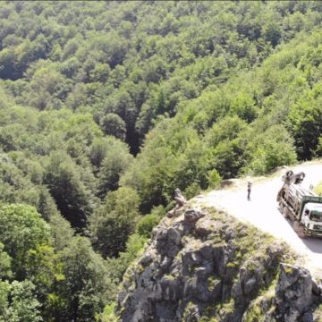 Agent Green | 90% dintre români doresc interzicerea tăierilor în parcuri naționale. Romsilva a primit nota 3,80 la administrarea pădurilor