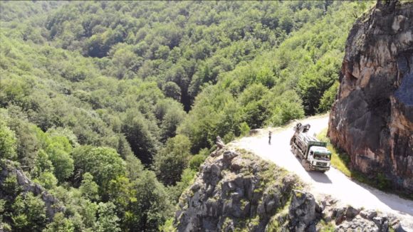 Agent Green | 90% dintre români doresc interzicerea tăierilor în parcuri naționale. Romsilva a primit nota 3,80 la administrarea pădurilor