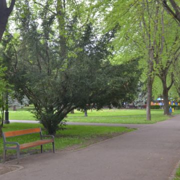 Primăria Brașov a lansat în dezbatere noul regulament pentru zone verzi. Liber cu biciclete, role și skateboard-uri în parcuri. Și iubitorii de câini își vor putea plimba animalele de companie prin parc