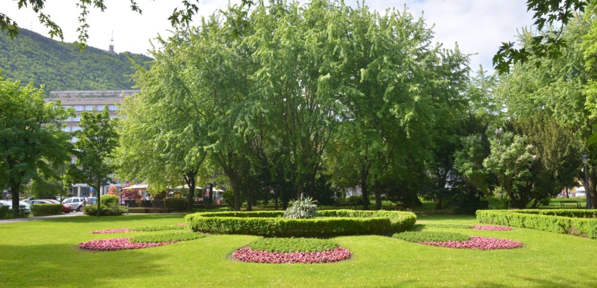 Chestionar | Cum vreți să arate și unde vreți să fie amenajate parcuri în municipiul Brașov?