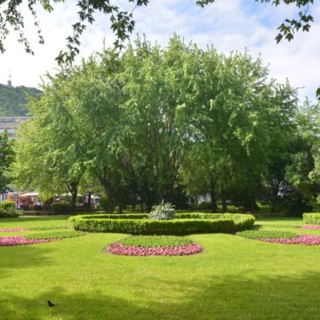 Chestionar | Cum vreți să arate și unde vreți să fie amenajate parcuri în municipiul Brașov?