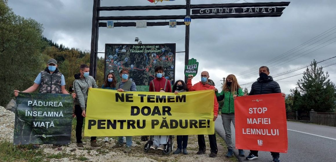 Solidaritate din partea organizațiilor de mediu cu jurnaliștii și activistul de mediu agresați la Suceava