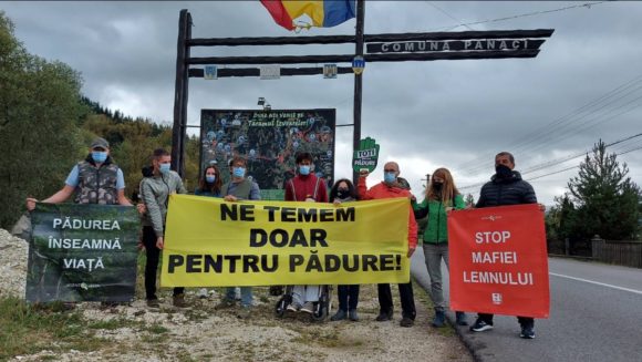 Solidaritate din partea organizațiilor de mediu cu jurnaliștii și activistul de mediu agresați la Suceava