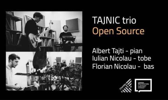 Chamber Jazz | TajNic trio | Open Source @ Centrul Multicultural