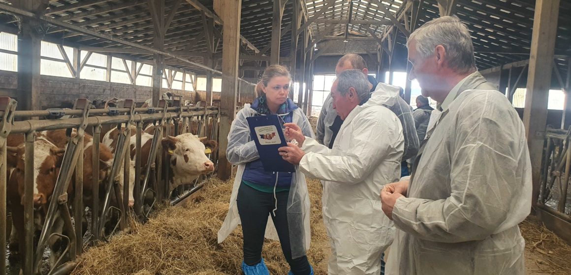 „FARM-A-THON: Cum ne ajută tehnologiile digitale să eficientizăm fermele de vaci?”