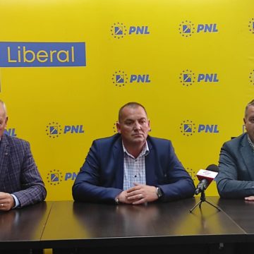 Referendum local | „Sunteți de acord cu demiterea primarului comunei Dumbrăviţa, judeţul Braşov, domnul Popa Zachiu?”