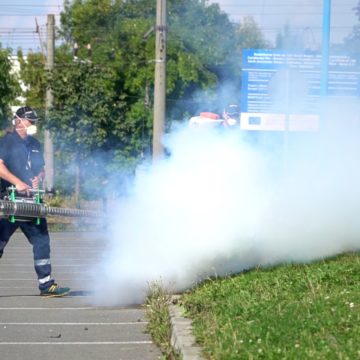 De astăzi, 30 iunie, începe cea de a treia campanie de dezinsecție pe domeniul public și privat al municipiului Brașov