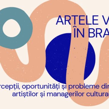 Chestionar pentru artiștii vizuali din Brașov. Cercetare care investighează resursele, nevoile și oportunitățile de dezvoltare din sfera artelor vizuale de la nivelul Municipiului Brașov