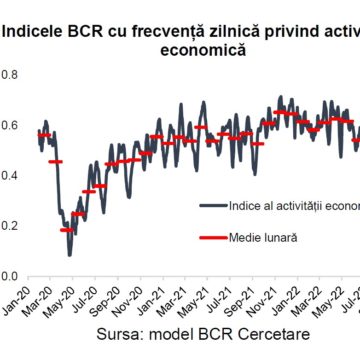 BCR Info: Indicele BCR cu frecvență zilnică sugerează o stagnare a economiei în T4 2022 față de T3 2022