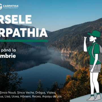 Elevii din Țara Făgărașului sunt invitați să aplice pentru Bursele Carpathia, componentă a Fondului Carpathia pentru Educație și Natură