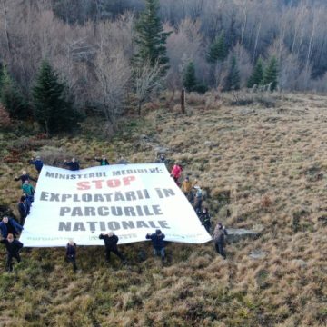 Protest în Semenic și la sediul administrației parcului național din Reșița. Agent Green cere Ministerului Mediului să înlăture imediat Romsilva de la administrare