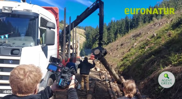 România riscă escaladarea la CEJ a infringementului pe arii naturale protejate. Agent Green lansează astăzi episodul 7 al serialului „Un Masacru Național”