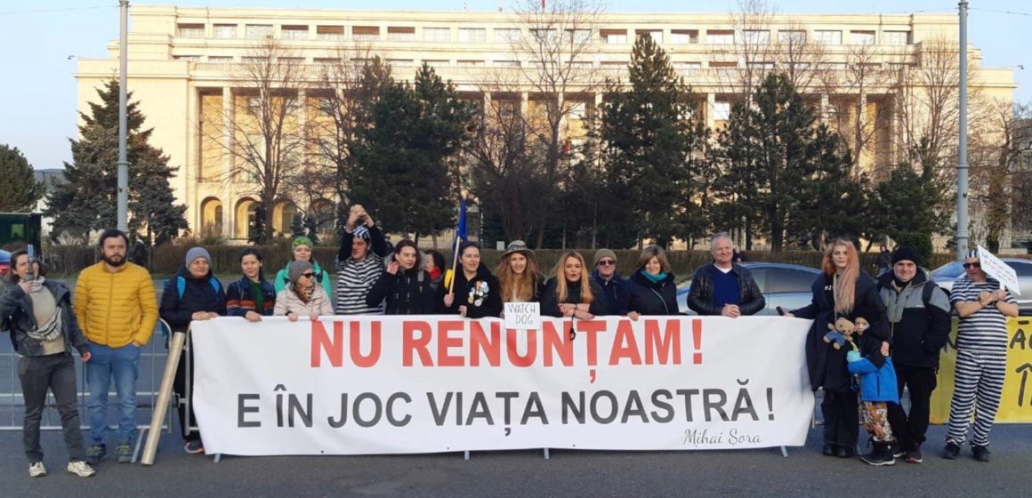 Mai multe organizații au protestat în Piața Victoriei din București împotriva pachetului legislativ care amenință cu desființarea principiilor statului de drept