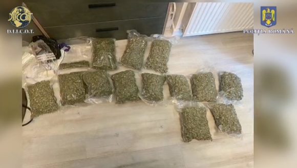 Arest pentru trafic de droguri | În urma a 10 percheziții au fost descoperite 10 kilograme de canabis și 100 de grame de cocaină