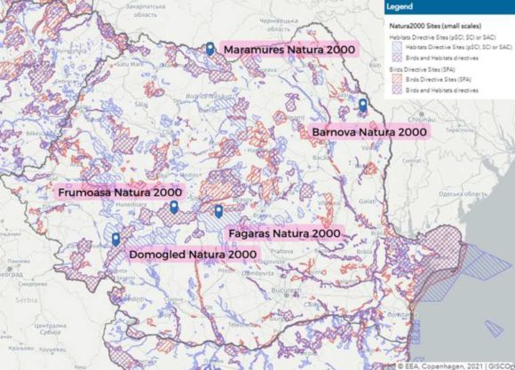 Raport EuroNatur și Agent Green: Tăieri masive de panică în ariile protejate Natura 2000