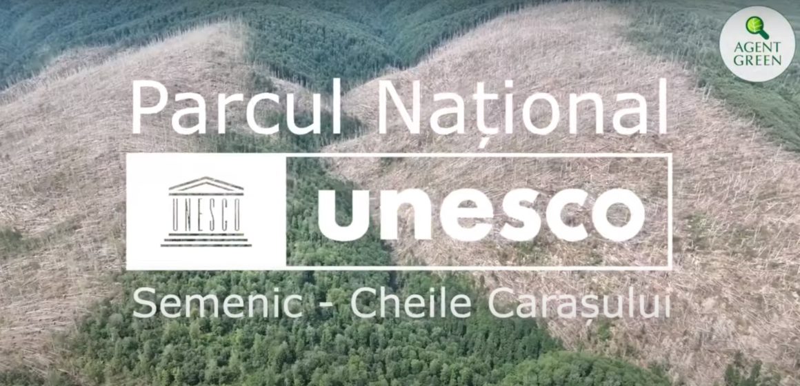 Agent Green | Dezastru în pădurile UNESCO