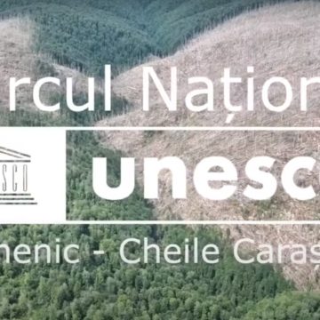 Agent Green | Dezastru în pădurile UNESCO