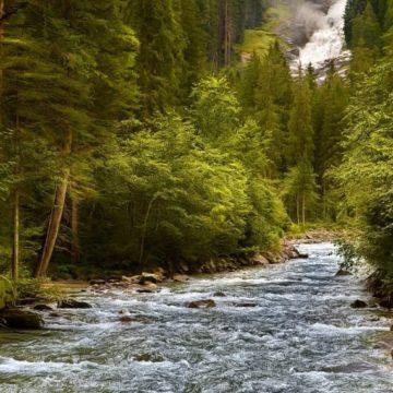 Parlamentul European a dat undă verde Legii de restaurare a naturii. Următorul pas ar putea fi acordarea drepturilor ecosistemelor la nivel global