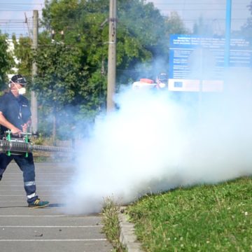 De luni, 2 octombrie, și până în 12 octombrie începe ultima campanie de dezinsecție pe domeniul public și privat al municipiului Brașov din acest an