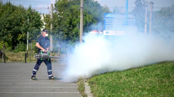 Primăria Brașov anunță o nouă etapă de dezinsecție începând cu 4 septembrie. E timpul pentru o abordare diferită?