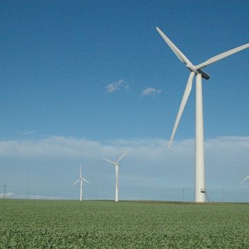 Obiecțiile organizațiilor de mediu cu privire la exceptarea a patru proiecte de turbine eoliene de la aplicarea procedurilor de evaluare a impactului asupra mediului