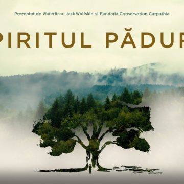 WaterBear lansează filmul documentar „Spiritul Pădurii” despre Pădurea cu Povești Nemuritoare din Nucșoara