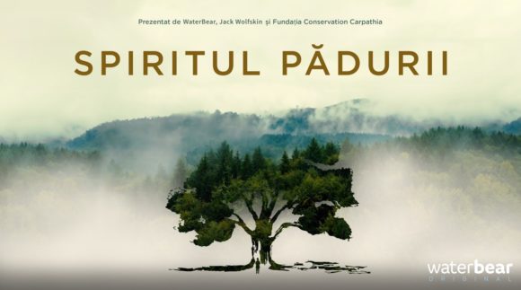 WaterBear lansează filmul documentar „Spiritul Pădurii” despre Pădurea cu Povești Nemuritoare din Nucșoara