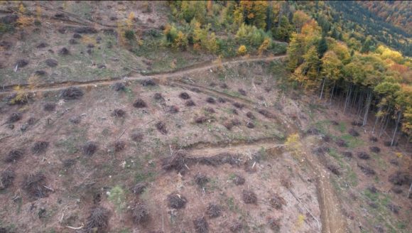 Agent Green atrage atenția că guvernul României nu și-a îndeplinit obiectivul asumat de guvernare privind stricta protecție a pădurii din cele 13 parcuri naționale a căror suprafață totală însumează doar 1% din suprafața țării