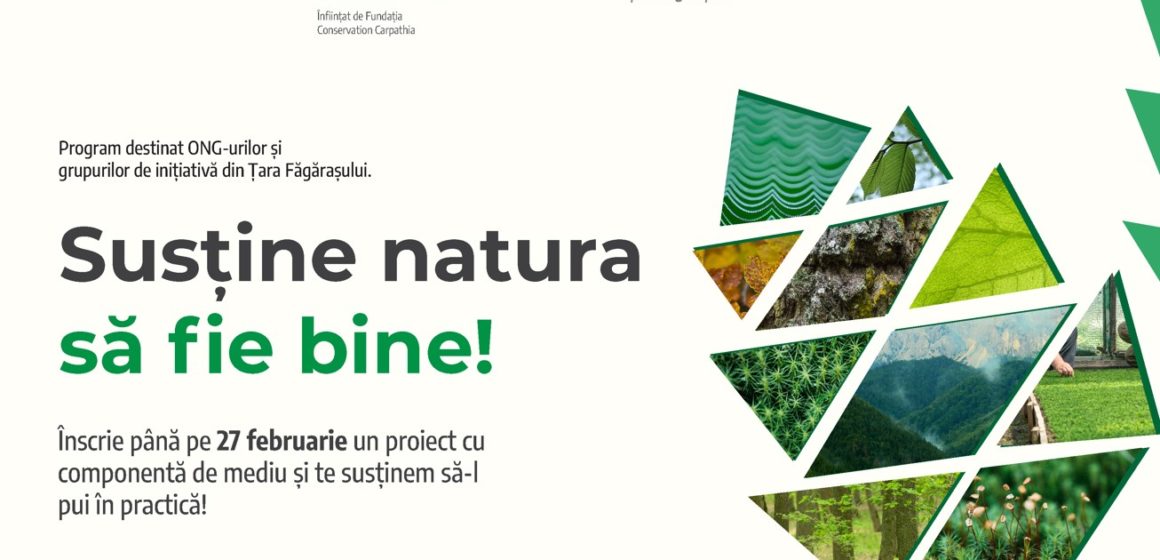 Fundația Comunitară Țara Făgărașului lansează o nouă ediția a „Fondului Carpathia” pentru ONG-uri, școli și grupuri de inițiativă