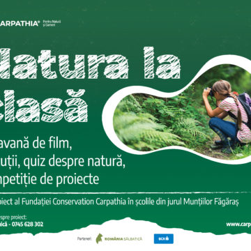 Fundația Conservation Carpathia a lansat caravana educațională „Natura la clasă”, pentru copiii din Munții Făgăraș