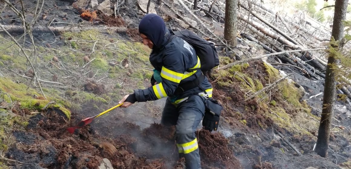 44 de pompieri și aproximativ 50 de lucrători silvici intervin pentru stingerea focarelor de incendiu în Munții Făgăraș