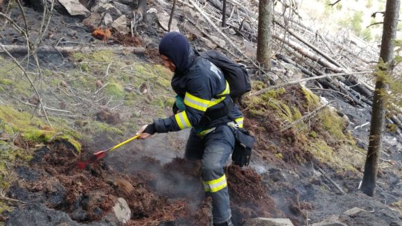 44 de pompieri și aproximativ 50 de lucrători silvici intervin pentru stingerea focarelor de incendiu în Munții Făgăraș