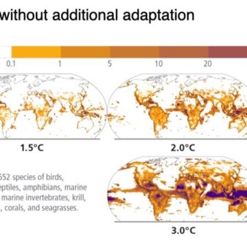 Raport IPCC: Zeci de mii de specii afectate și aflate în fața unui risc de dispariție în următoarele decenii