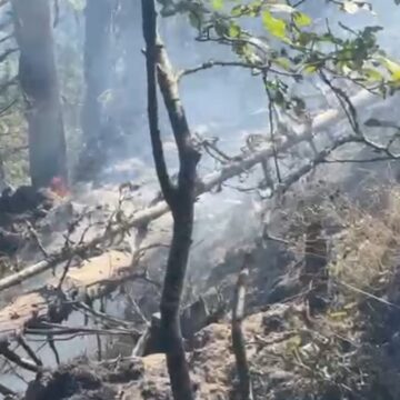 Incendiu în fondul forestier din masivul Piatra Mare