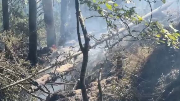 Incendiu în fondul forestier din masivul Piatra Mare