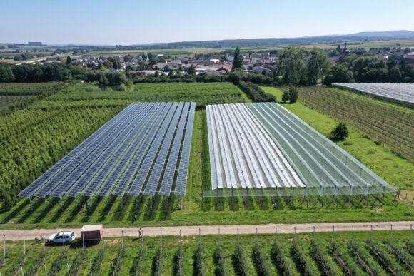 Agrovoltaicele – atingem obiectivele climatice prin intermediul agriculturii?