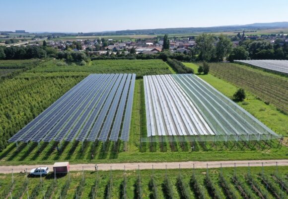 Agrovoltaicele – atingem obiectivele climatice prin intermediul agriculturii?