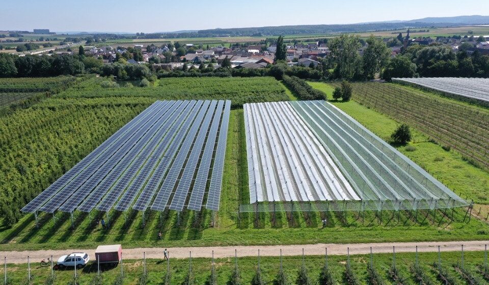 Agrovoltaicele – atingem obiectivele climatice prin intermediul agriculturii?