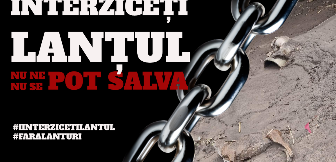 Peste 50 de organizații fac apel urgent la autorități. Scrisoare deschisă către Alexandru Bociu, Director ANSVSA, și Marcel Ciolacu, Prim-Ministru