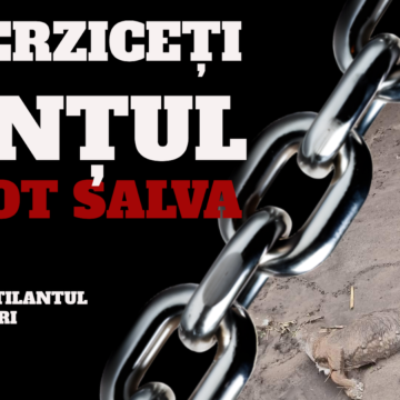 Peste 50 de organizații fac apel urgent la autorități. Scrisoare deschisă către Alexandru Bociu, Director ANSVSA, și Marcel Ciolacu, Prim-Ministru